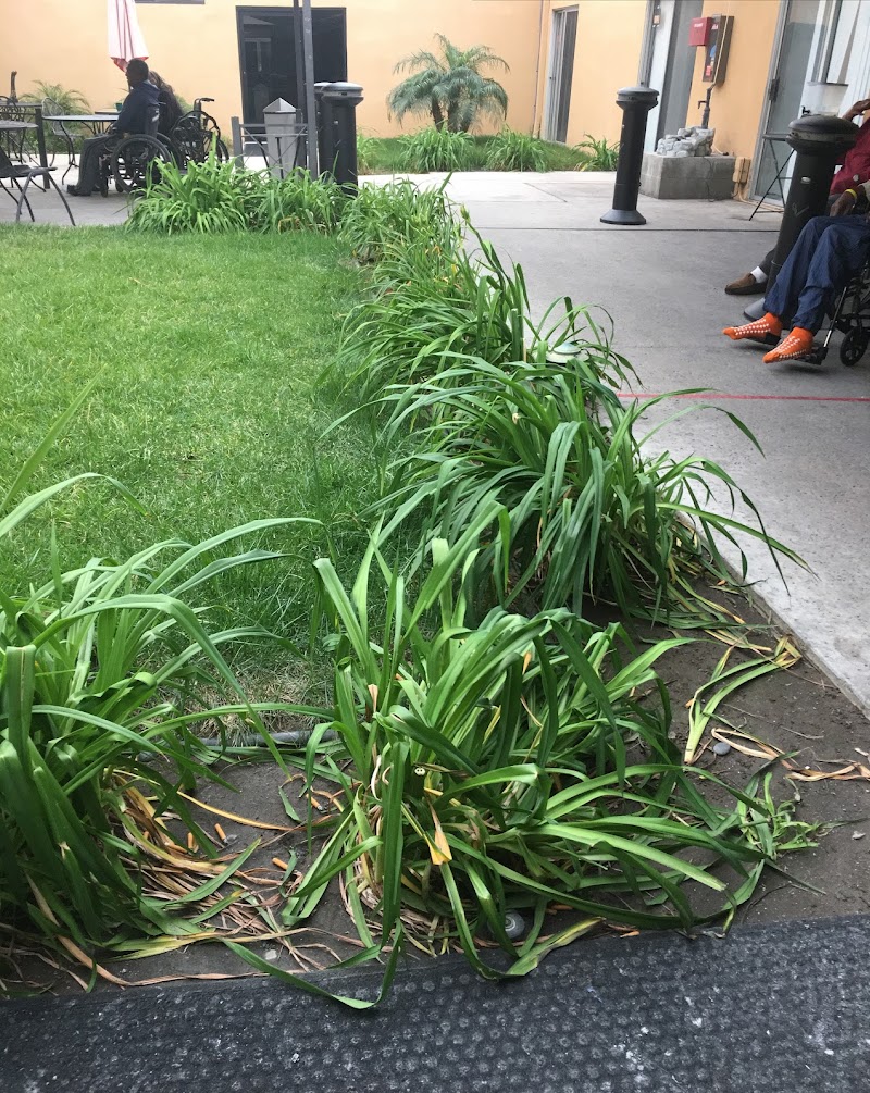 NORWALK SKILLED NURSING & WELLNESS CENTRE, LLC nursing home in NORWALK, CA - Photo 2 of 4