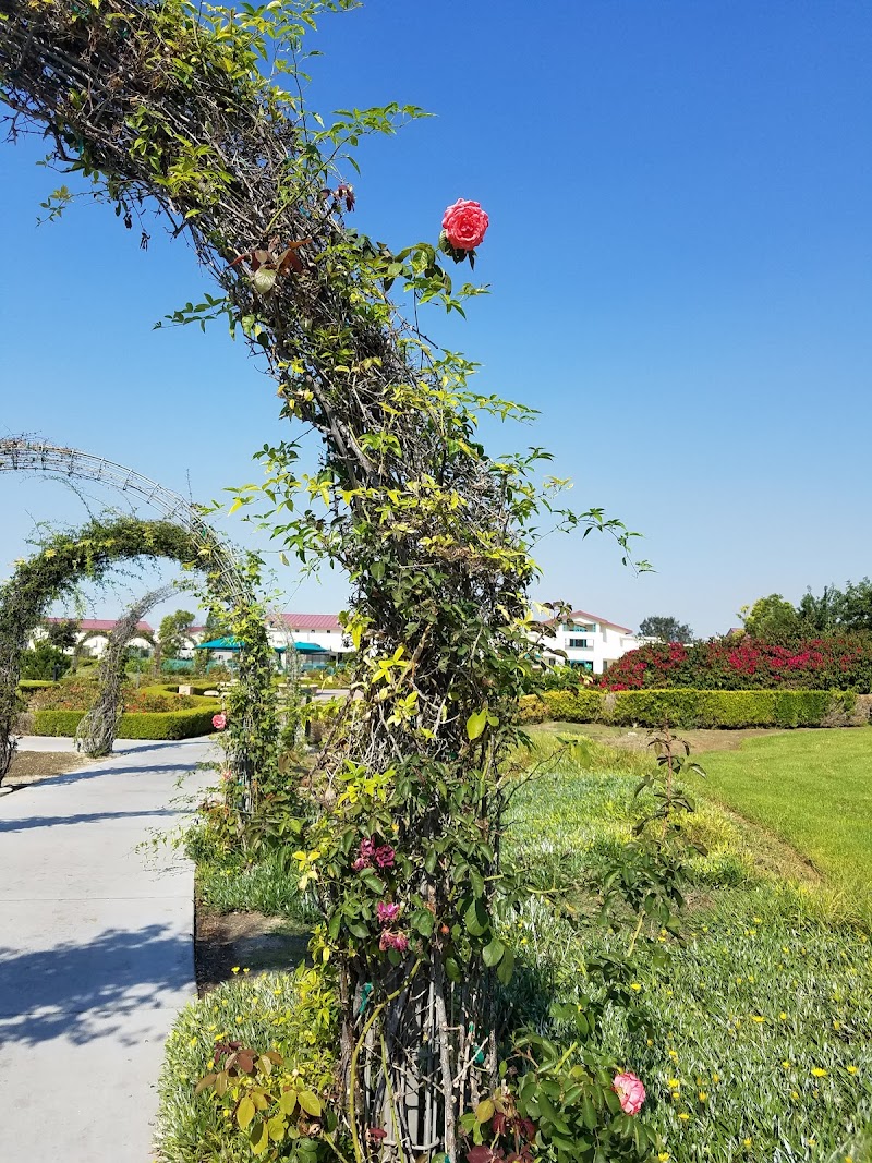 VETERANS HOME OF CALIFORNIA - CHULA VISTA nursing home in CHULA VISTA, CA - Photo 4 of 10
