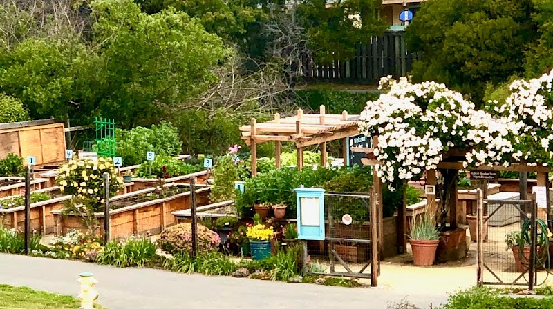 THE REDWOODS, A COMMUNITY OF SENIORS nursing home in MILL VALLEY, CA - Photo 3 of 5