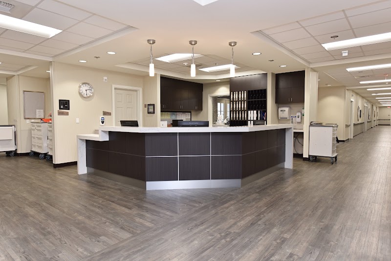 THE SPRINGS HEALTH AND REHABILITATION CENTER nursing home in MURRIETA, CA - Photo 4 of 10