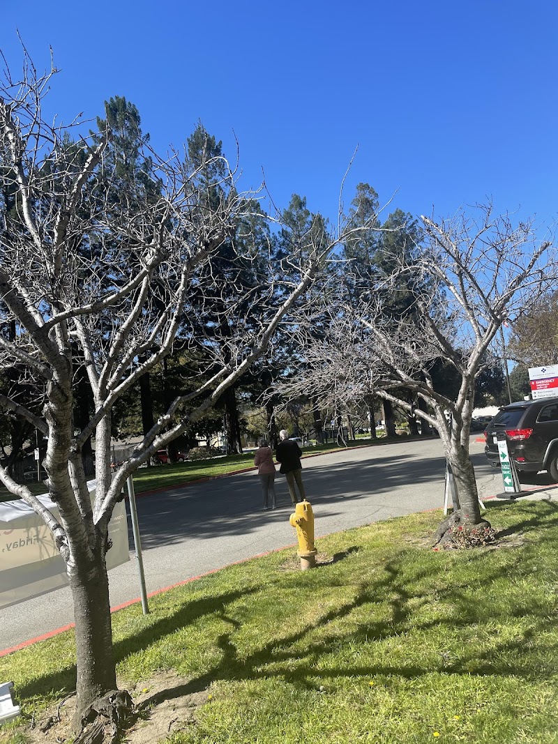 O'CONNOR HOSPITAL D/P SNF nursing home in SAN JOSE, CA - Photo 5 of 10