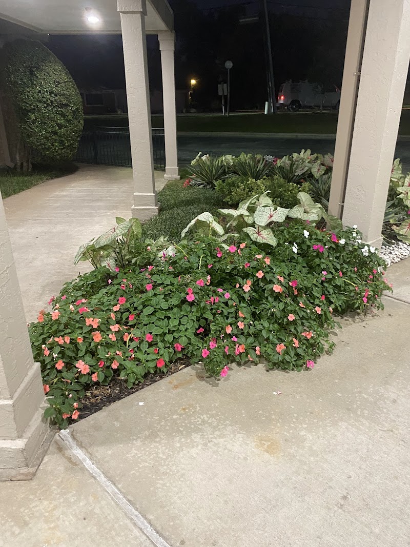 ESTATES HEALTHCARE AND REHABILITATION CENTER nursing home in FORT WORTH, TX - Photo 5 of 5