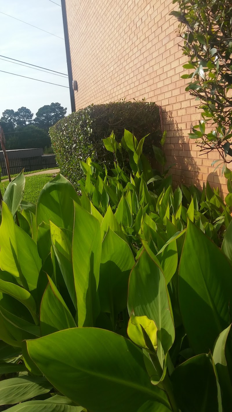 HIGHLAND PINES NURSING HOME nursing home in LONGVIEW, TX - Photo 2 of 4