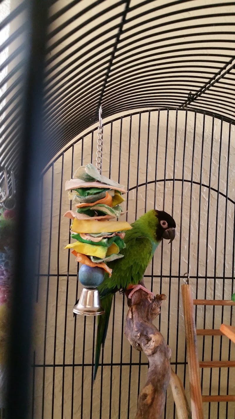 BRIARCLIFF HEALTH CENTER OF GREENVILLE nursing home in GREENVILLE, TX - Photo 5 of 5