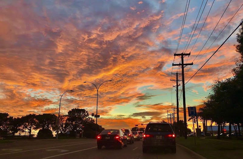 ARBROOK PLAZA nursing home in ARLINGTON, TX - Photo 4 of 5