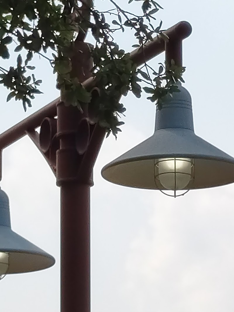 SETTLERS RIDGE CARE CENTER nursing home in CELINA, TX - Photo 3 of 5