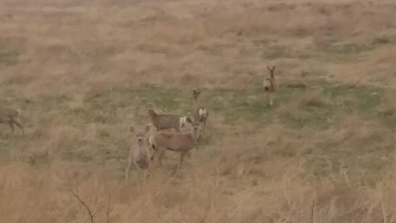 PARK VIEW NURSING CARE CENTER nursing home in MULESHOE, TX - Photo 5 of 8