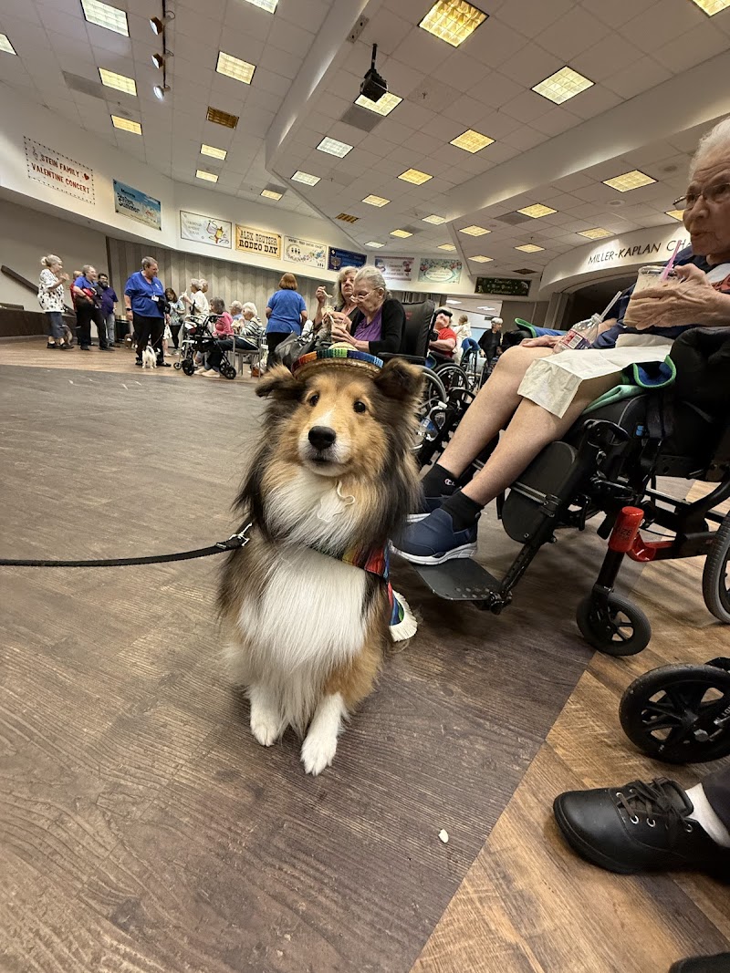 Seven Acres Jewish Senior Care Services nursing home in Houston, TX - Photo 4 of 5