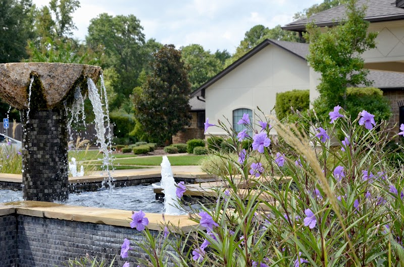 PROVIDENCE PARK REHABILITATION AND SKILLED NURSING nursing home in TYLER, TX - Photo 5 of 6