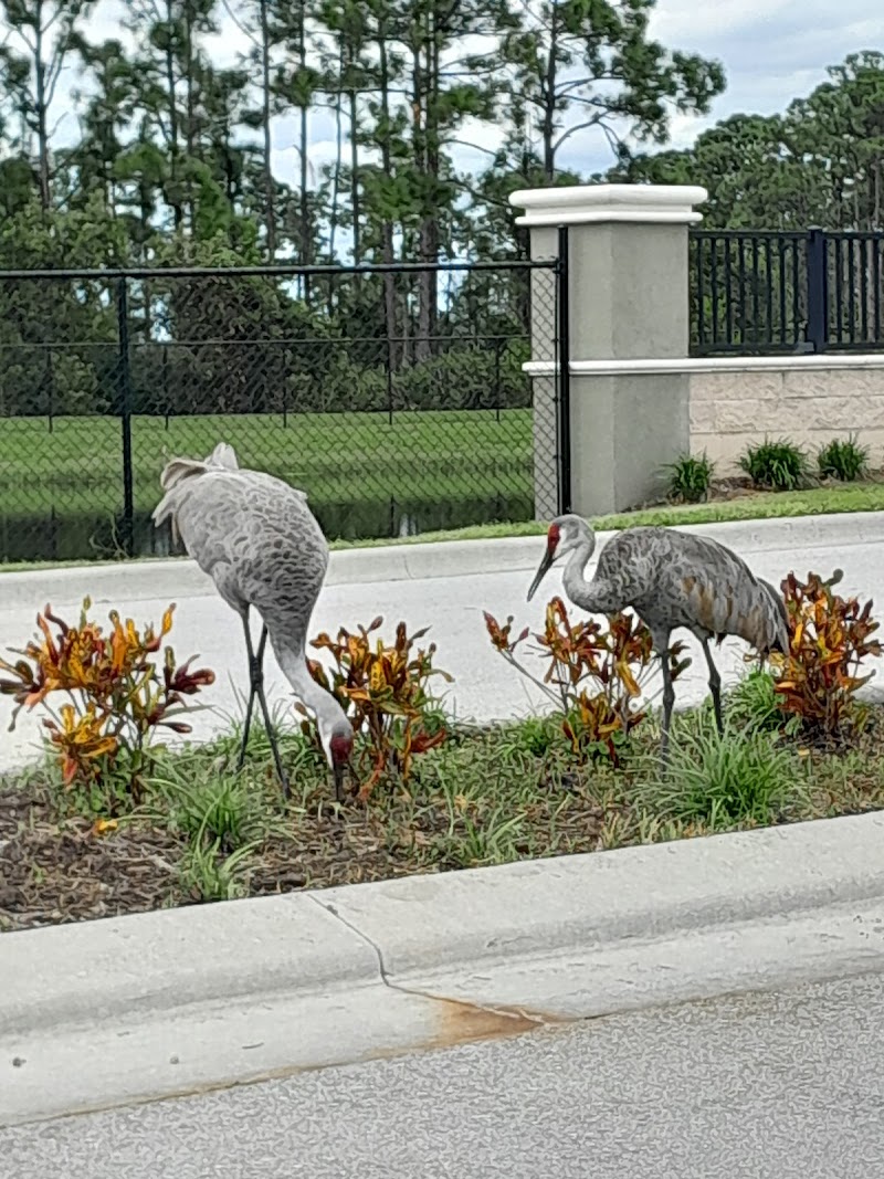 ARDIE R COPAS STATE VETERANS NURSING HOME nursing home in PORT SAINT LUCIE, FL - Photo 5 of 5